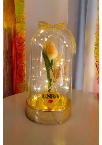 Sevgililer ve Anneler Günü , Arkadaşa Özel Hediye Altın Renkli Fanus Yapay Islak Lale Isim Yazmalı