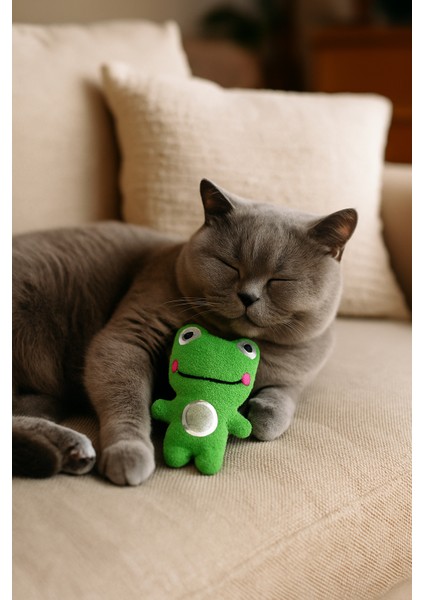 Kedi Oyuncağı Catnip ve Zilli Interaktif, Oyun Arkadaşı - Peluş Kurbağa modelleri