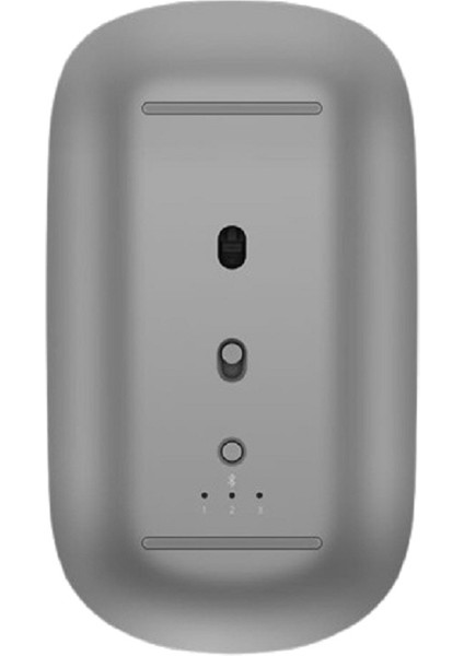 CD23 Se Mouse Silver modelleri