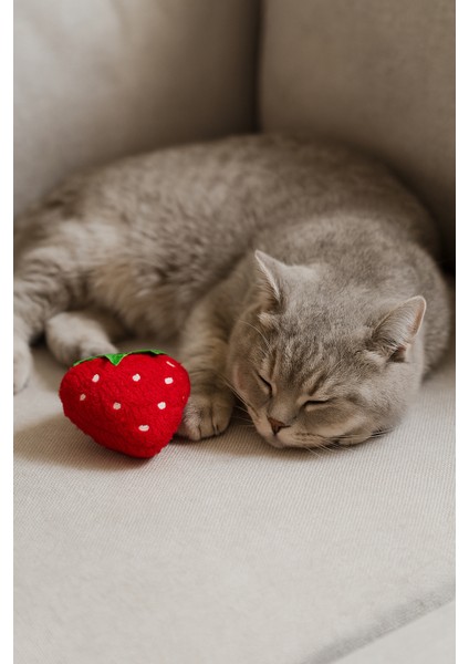 Kedi Oyuncağı Catnip ve Zilli Interaktif, Oyun Arkadaşı - Peluş Çilek fırsatları