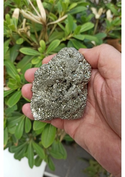 Doğal Pirit Taşı Koleksiyonluk Parça Pr-6
