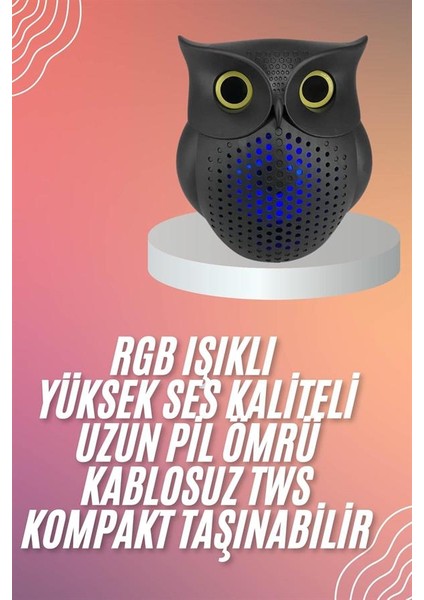 Müzik Çalar Bluetooth Hoparlör Speaker 5.0 Kablosuz Baykuş Görünümlü