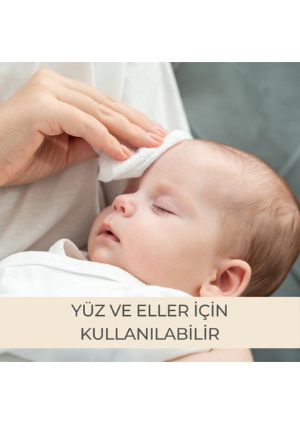 Lotus Çiçeği Kokulu Islak Mendil 12X72'li Koli (864 Yaprak)