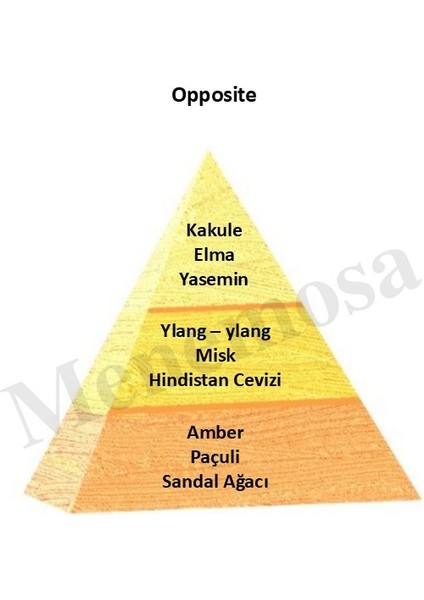 No:451 + Opposite Unisex / Erkek Parfüm Edp 50 ml Fresh / Oriental - Mnms50no451oppo modelleri