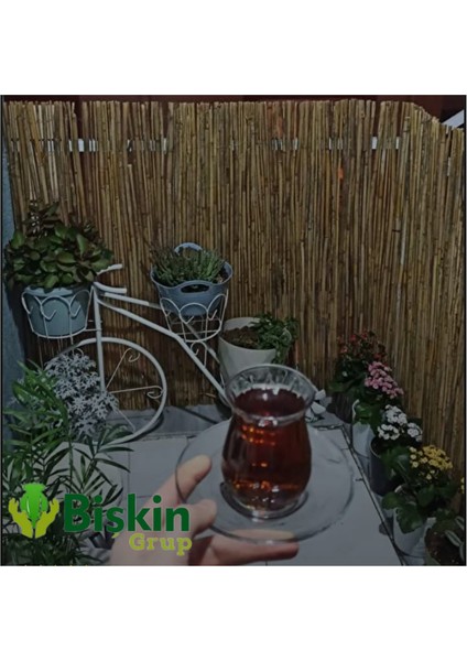Kamış Hasır Bambu Çit 1,5m x 2,5m