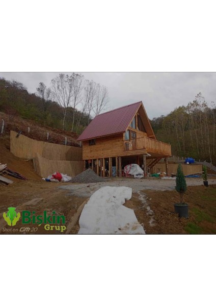 Kamış Hasır Bambu Çit 1,5m x 2,5m