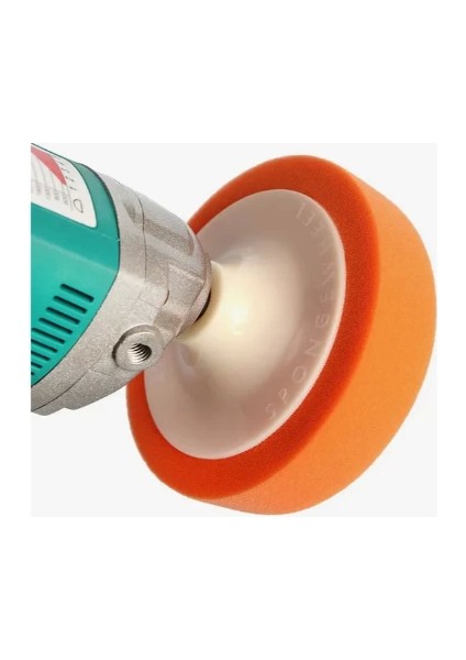 Oto Pasta Cila Süngeri