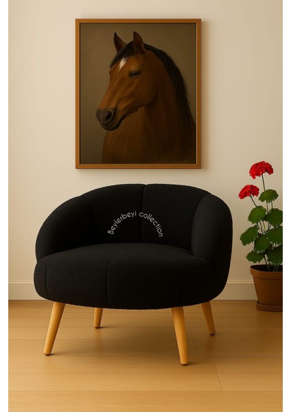 Papatya Berjer,çay Seti Tekli Koltuk Berjer (Salon, Balkon, Ofis) Dolgulu Krlent Hediyeli