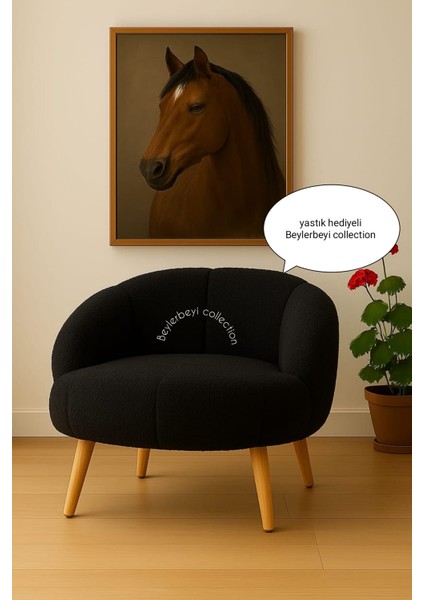 Papatya Berjer,çay Seti Tekli Koltuk Berjer (Salon, Balkon, Ofis) Dolgulu Krlent Hediyeli fiyatları