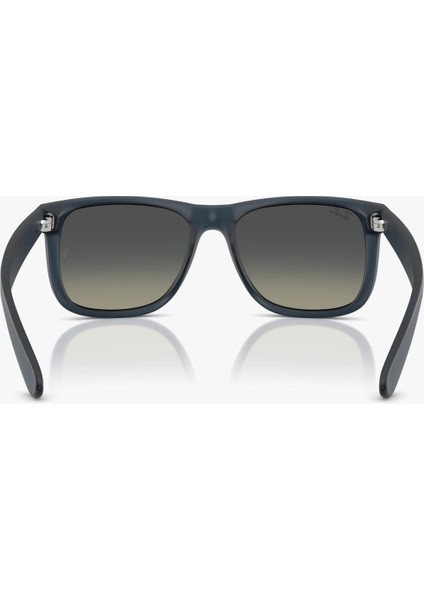 Rb 4165 681311 55 Ray-Ban Güneş Gözlüğü indirimleri