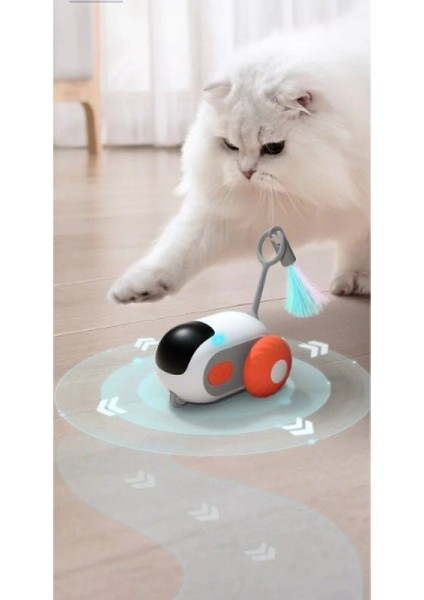 Kedi Oyuncağı, Uzaktan Kumandalı Robot