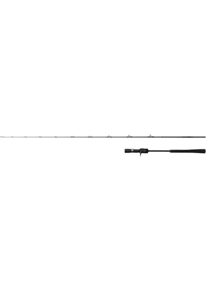 Game Type Slow Jigging 1,98M 6'6" 330G 1+1pc Cast