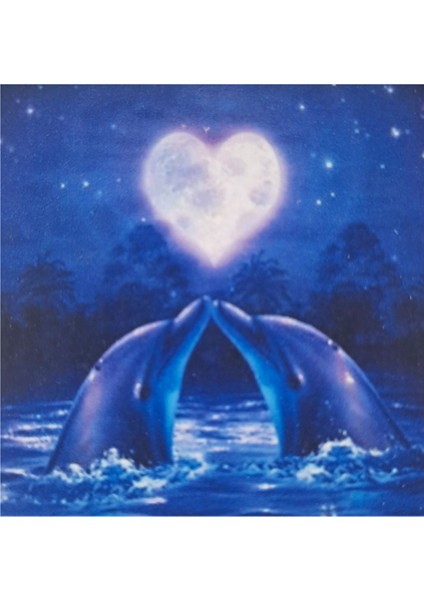 5d Elmas Taş Işleme Kiti 30X30 cm Aşık Yunuslar Desen fiyatları