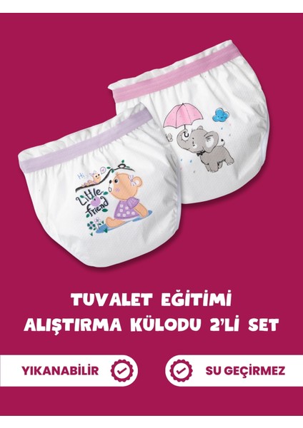 2'li Kız Çocuk Tuvalet Eğitimi Alıştırma Külodu Seti