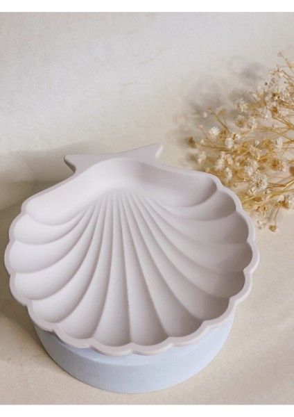 Deniz Kabuğu Dekoratif Altlık, Takı ve Sehpa Düzenleyici, Şık ve Doğal Tasarım fiyatları