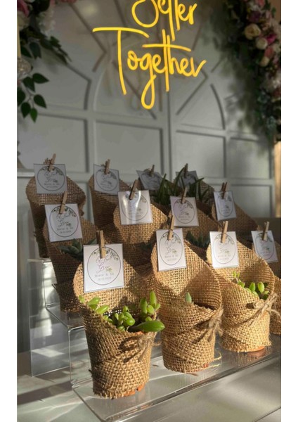 Şeffaf 3 Katlı Pleksi Merdiven Standı, 30CM, Makyaj ve Dekor Kullanımına Uygun fiyatları