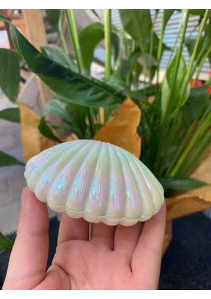 Beyaz Yüzük Kutusu ve Yükseltici, 2'li Paket, Zarif ve Kullanışlı Set fiyatları