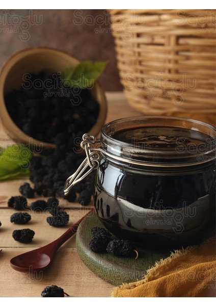 Karadut Pekmezi fiyatları