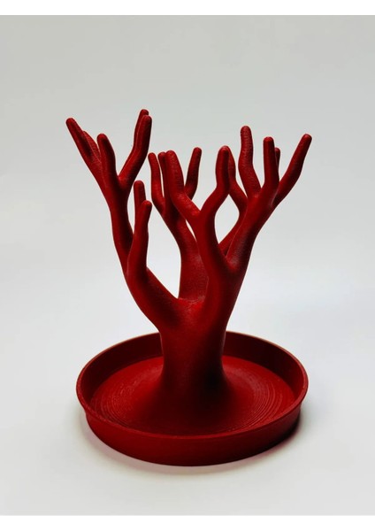 Renkli Ağaç Takı Düzenleyici, Yüzük, Küpe, Kolye Askılığı