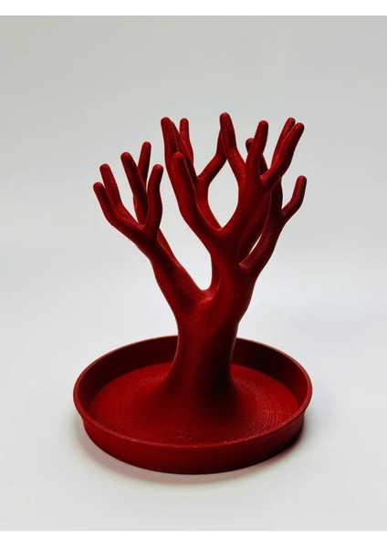 Renkli Ağaç Takı Düzenleyici, Yüzük, Küpe, Kolye Askılığı