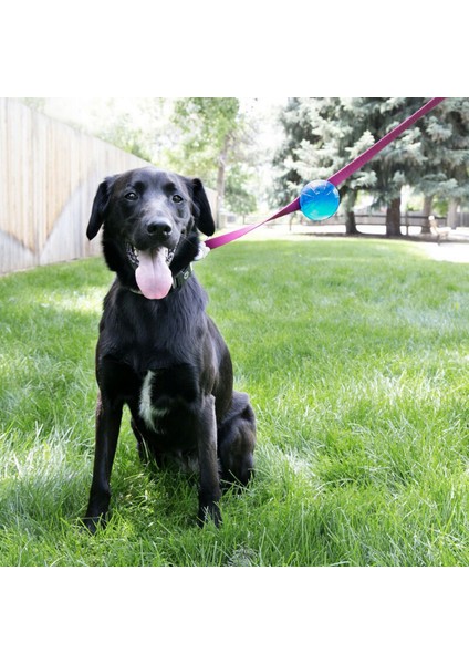 Tagalong Gezdirme Kayışına Asılabilir Köpek Oyun Topu M Lzwdr modelleri