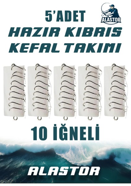 Hazır 5'li Kefal Için 10 Iğneli Kıbrıs Takımı 5'li Paket Hazır Kıbrıs Kefal Takımı 5'li Set