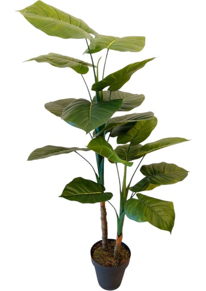 Yapay Alokasya 18 Yapraklı 2 Gövdeli Islak Dokulu Iç Mekan,salon,ofis Ağacı fiyatları