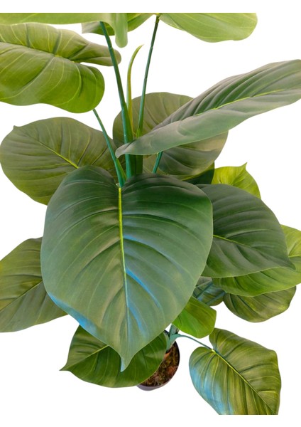 Yapay Alokasya 18 Yapraklı 2 Gövdeli Islak Dokulu Iç Mekan,salon,ofis Ağacı modelleri