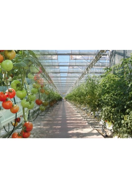 Beyaz Çelik Çamaşır Ipi, 15 M, 4 Mm, Pvc Kaplı, Bahçe, Mutfak, Kamp, Dayanıklı fırsatları