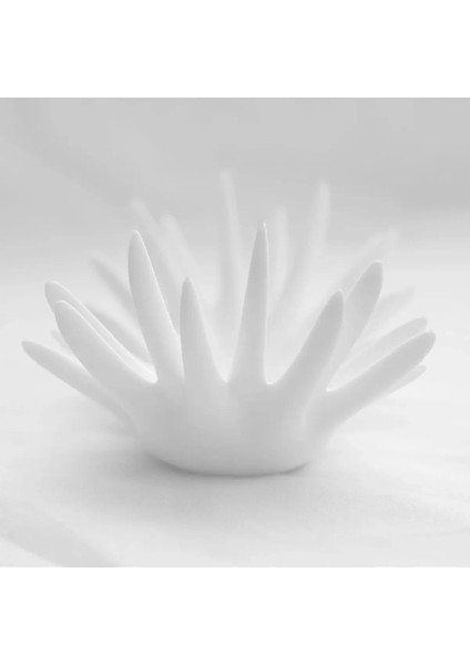 Beyaz Çok Amaçlı Diken Tepsisi ve Takı Organizer, Şık ve Kullanışlı 100 Karakter