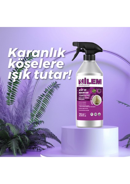 Profesyonel Küf ve Mantar Temizleyici 750 ml modelleri