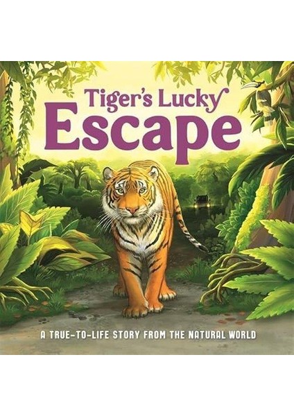 Tiger's Lucky Escape (Ciltli)
