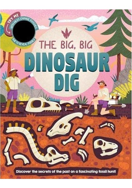The Big Big Dinosaur Dig (Ciltli)