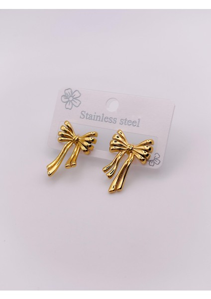 Çelik Küpe Tasarım Fiyonk Küpe