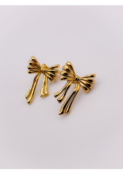 Çelik Küpe Tasarım Fiyonk Küpe fiyatları