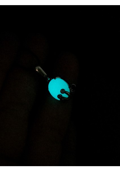 925 Ayar Gümüş Fosforlu Karanlıkta Parlayan Işıklı Ahtapot Charm Doğum Günü Hediye fiyatları