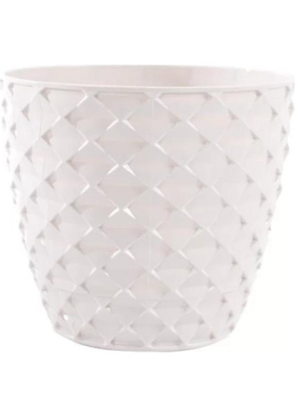 Şeffaf Kapadokya Kristal Saksı, Siyah, Şık ve Zarif Tasarım