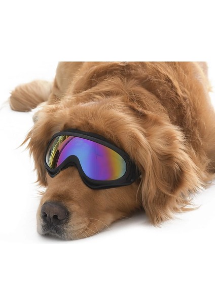 Orta ve Büyük Irk Köpek Güneş Gözlüğü Kaapo