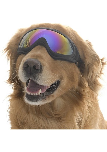 Orta ve Büyük Irk Köpek Güneş Gözlüğü Kaapo fiyatları