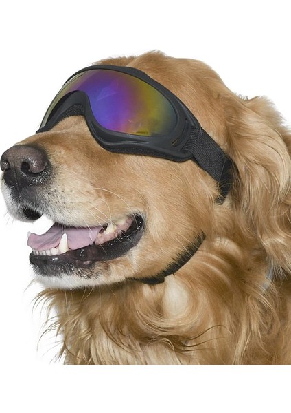 Orta ve Büyük Irk Köpek Güneş Gözlüğü Kaapo modelleri