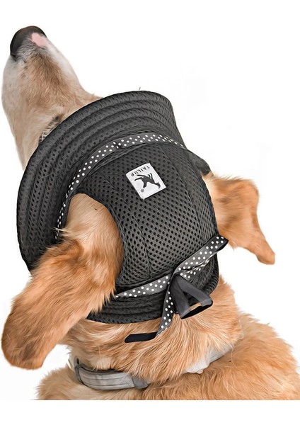 Küçük ve Orta Irk Köpekler Için Şapka Meloni - Siyah