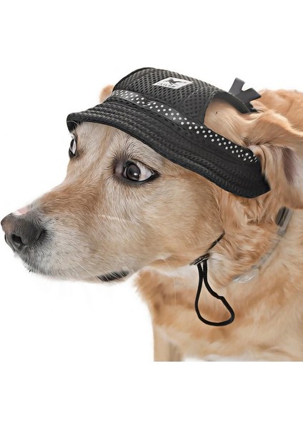 Küçük ve Orta Irk Köpekler Için Şapka Meloni - Siyah fiyatları