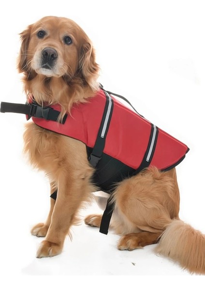Köpek Can Yeleği Hibo modelleri