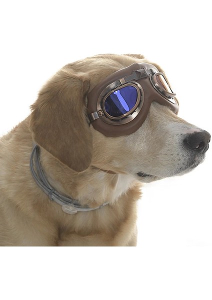 Orta ve Büyük Köpek Güneş Gözlüğü Kimmo fiyatları