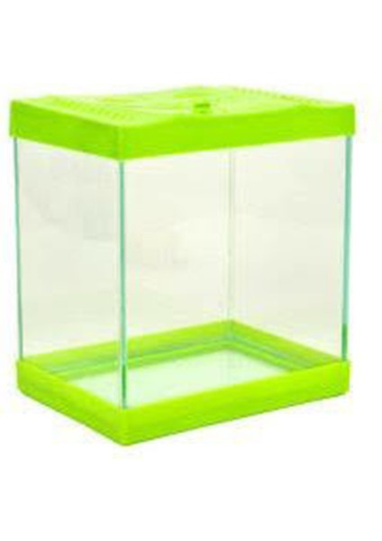 Patipera Minik Akvaryum Kare