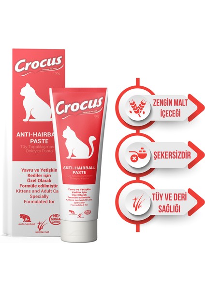 Anti Hairball Kedi Malt Macunu 100 Gram x 2 Adet Lzwdr