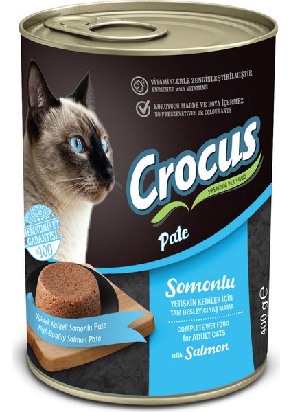 Yetişkin Kedi Somonlu Pate Yaş Mama 400G Lzwdr