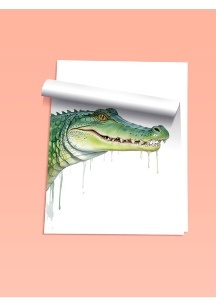 Çerçevesiz Poster, Sarkan Timsah Mizahi Illüstrasyon, Genç Odası Dekoru Poster No: 109357 fiyatları