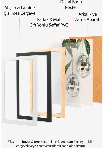 Ahşap Çerçeveli Tablo, Disko Toplu Bitki Kombinasyonu, Salon Dekoru Poster No: 109519