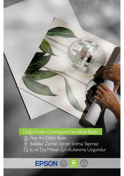 Ahşap Çerçeveli Tablo, Disko Toplu Bitki Kombinasyonu, Salon Dekoru Poster No: 109519